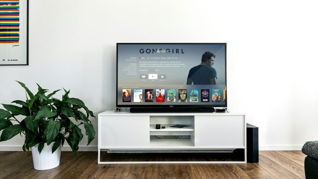 entertainment electronics